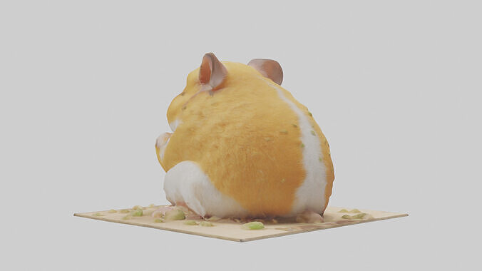 Hamster eating seeds model Low-poly 3D model 2
