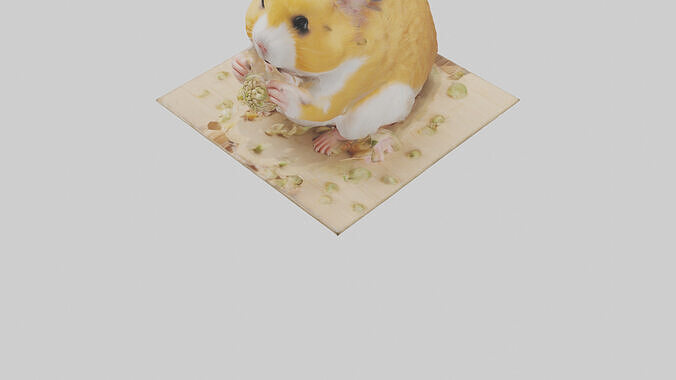 Hamster eating seeds model Low-poly 3D model 6
