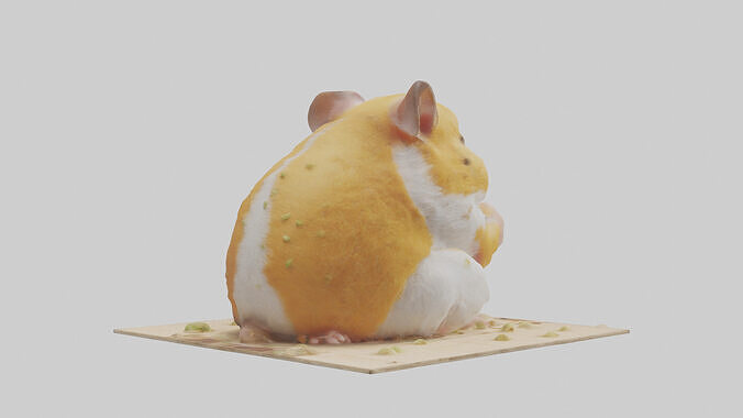 Hamster eating seeds model Low-poly 3D model 3