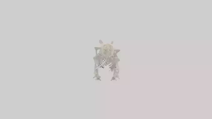 Hamster Skeleton model