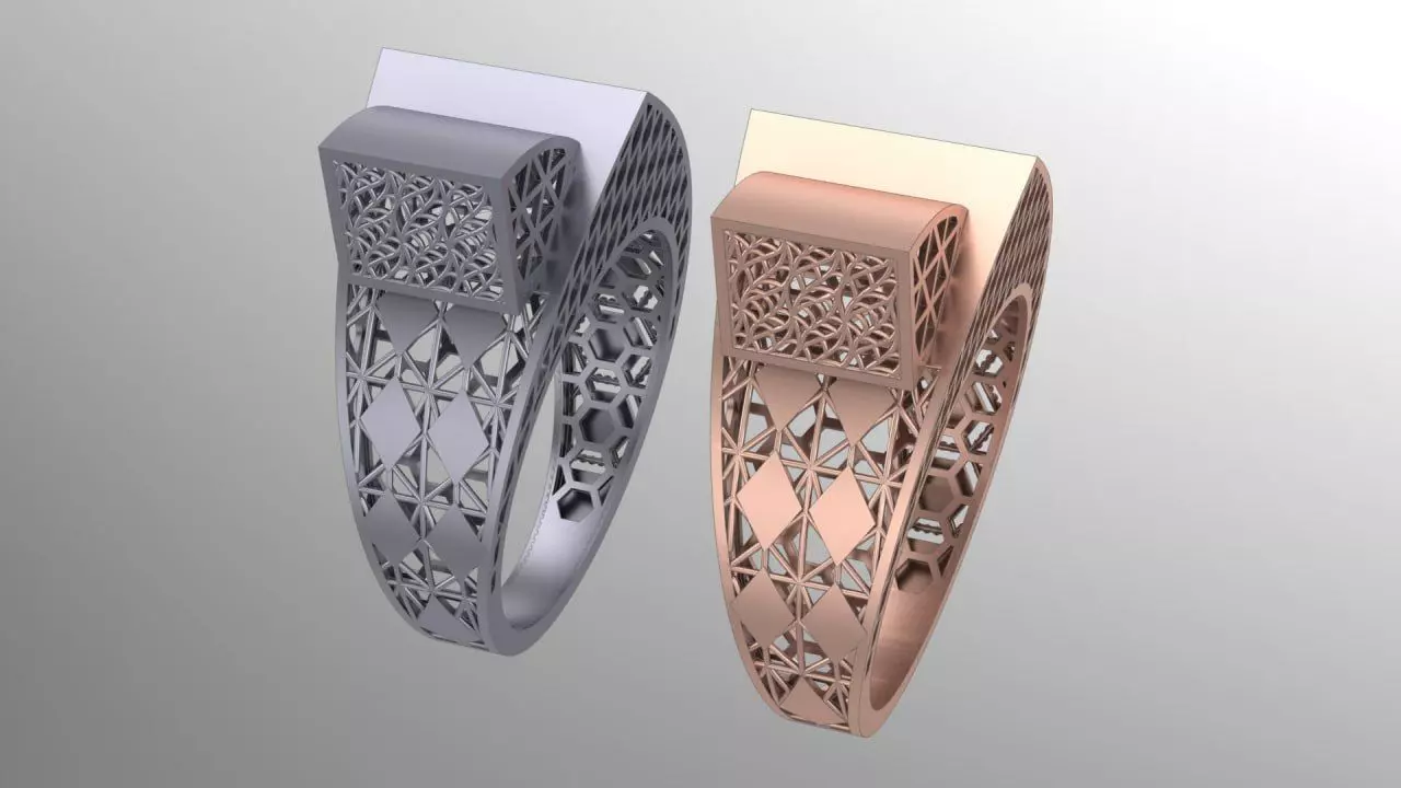 2ndTurk fusion pack N5 3D print model_0