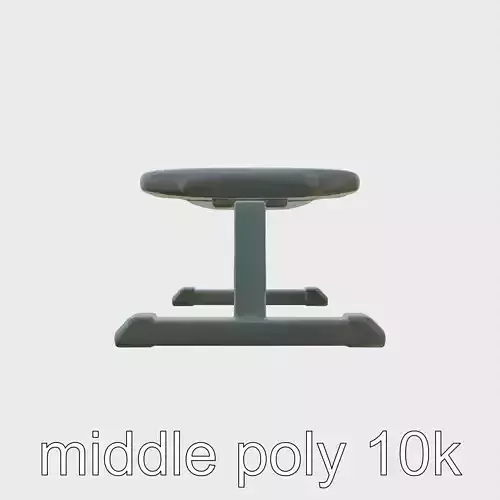 Adjustable Fitness Gym Bench for Exercise Workouts