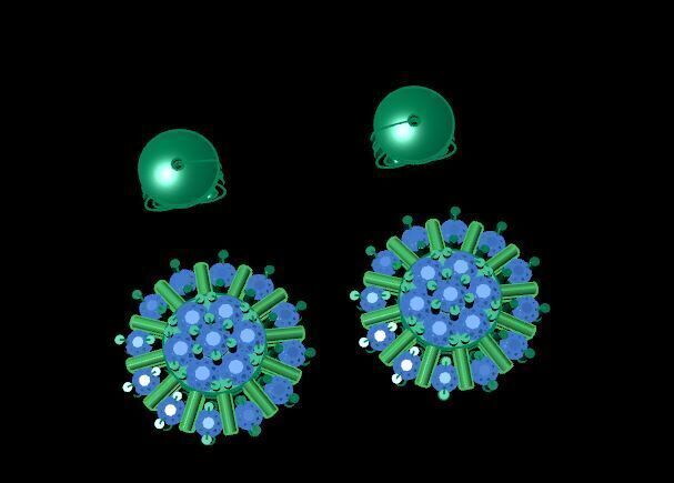 small earring with push 3D print model_9