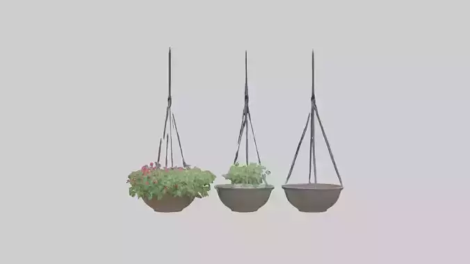 Hanging Baskets