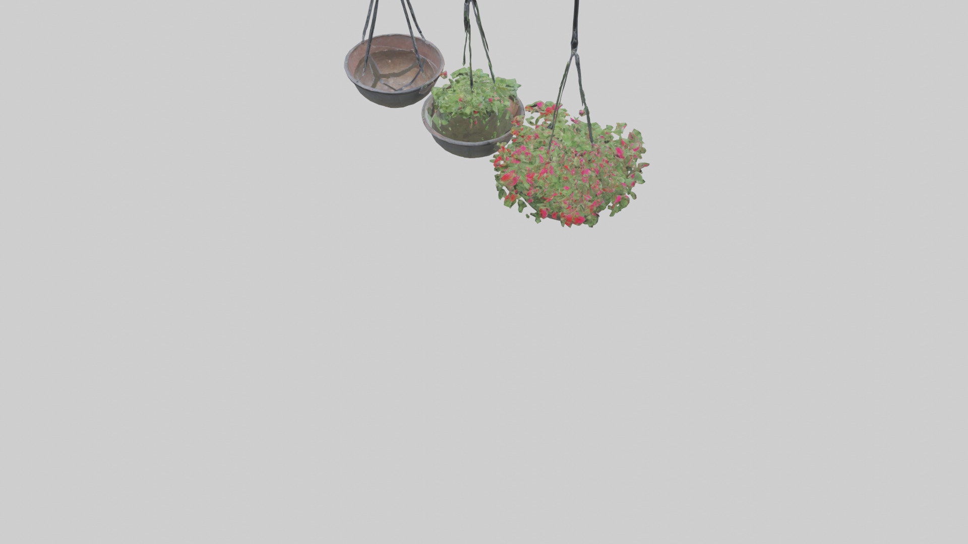 Hanging Baskets Low-poly 3D model_5
