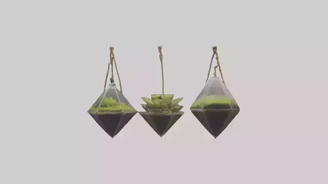 Hanging Terrariums Low-poly 3D model