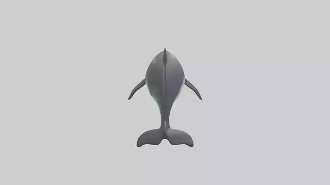 Harbor Porpoise jumping model