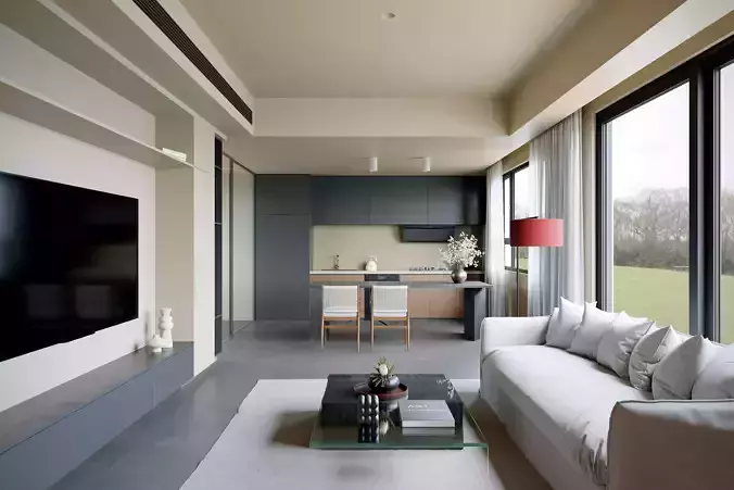 Apartment interior scenes        