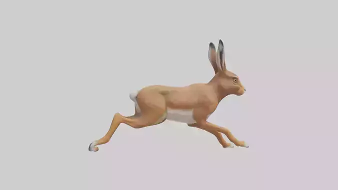Hare running model