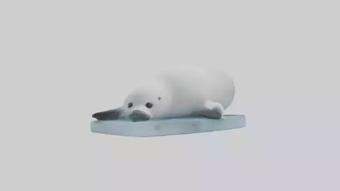 Harp Seal pup on ice model Low-poly 3D model