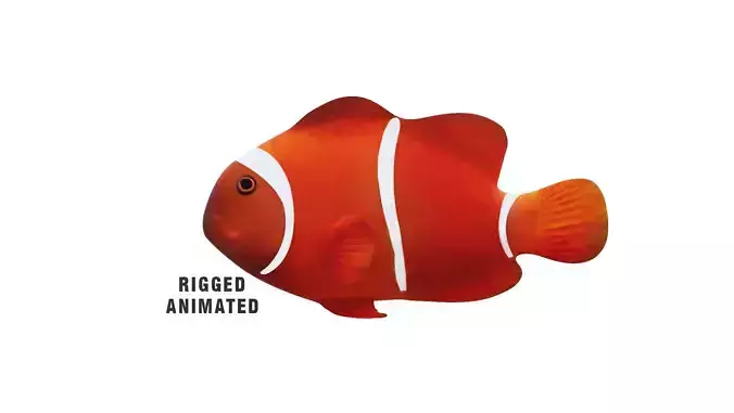 Low-Poly Clown Fish Animated  Low-poly 3D model