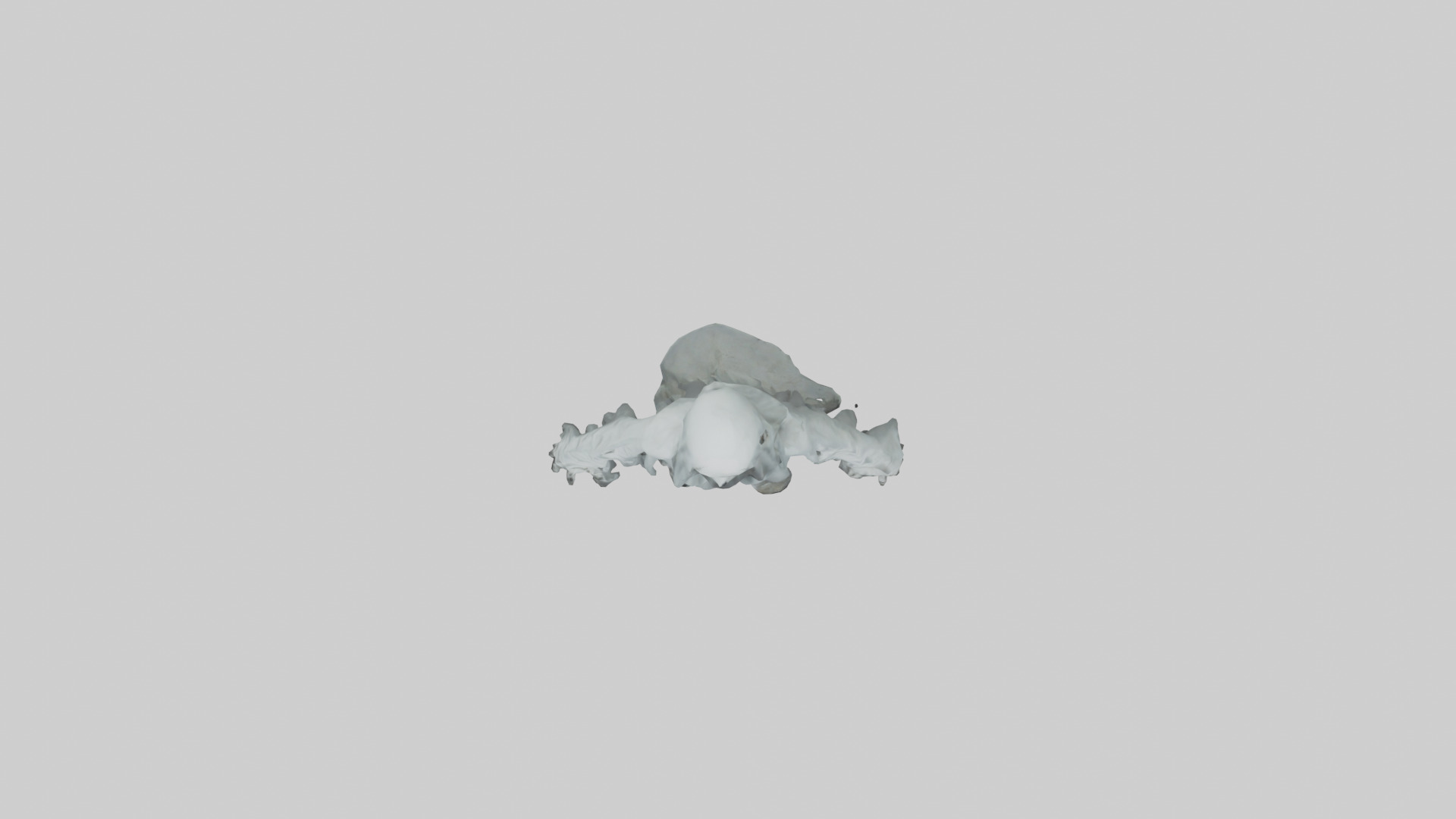 Haunted ghost model Low-poly 3D model_14