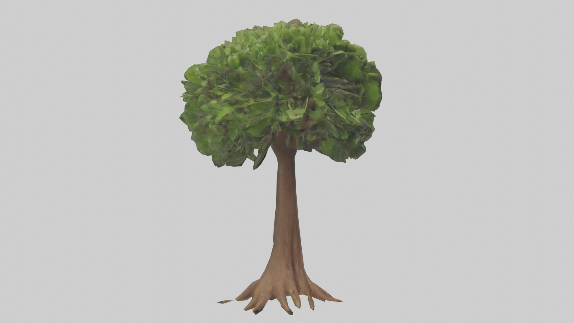 Hawaii Hala tree model Low-poly 3D model_11