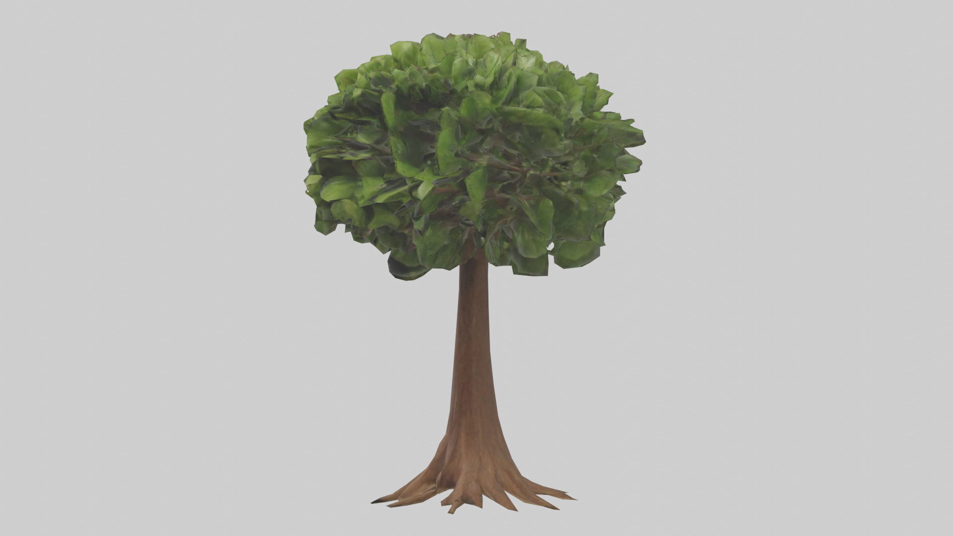 Hawaii Hala tree model Low-poly 3D model_10