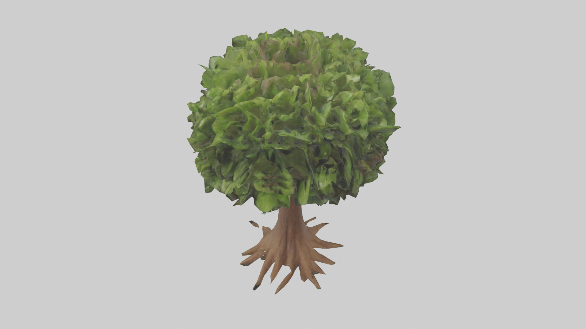 Hawaii Hala tree model Low-poly 3D model_16