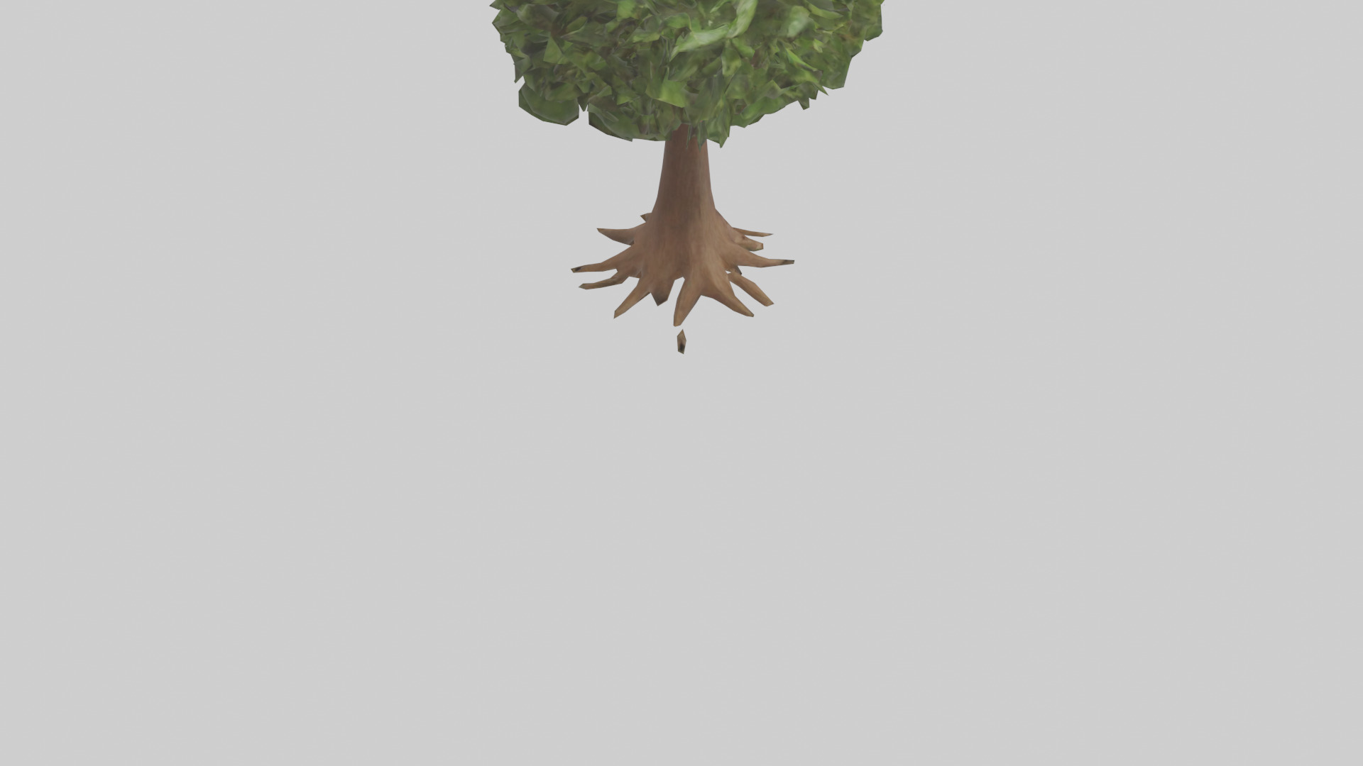 Hawaii Hala tree model Low-poly 3D model_4
