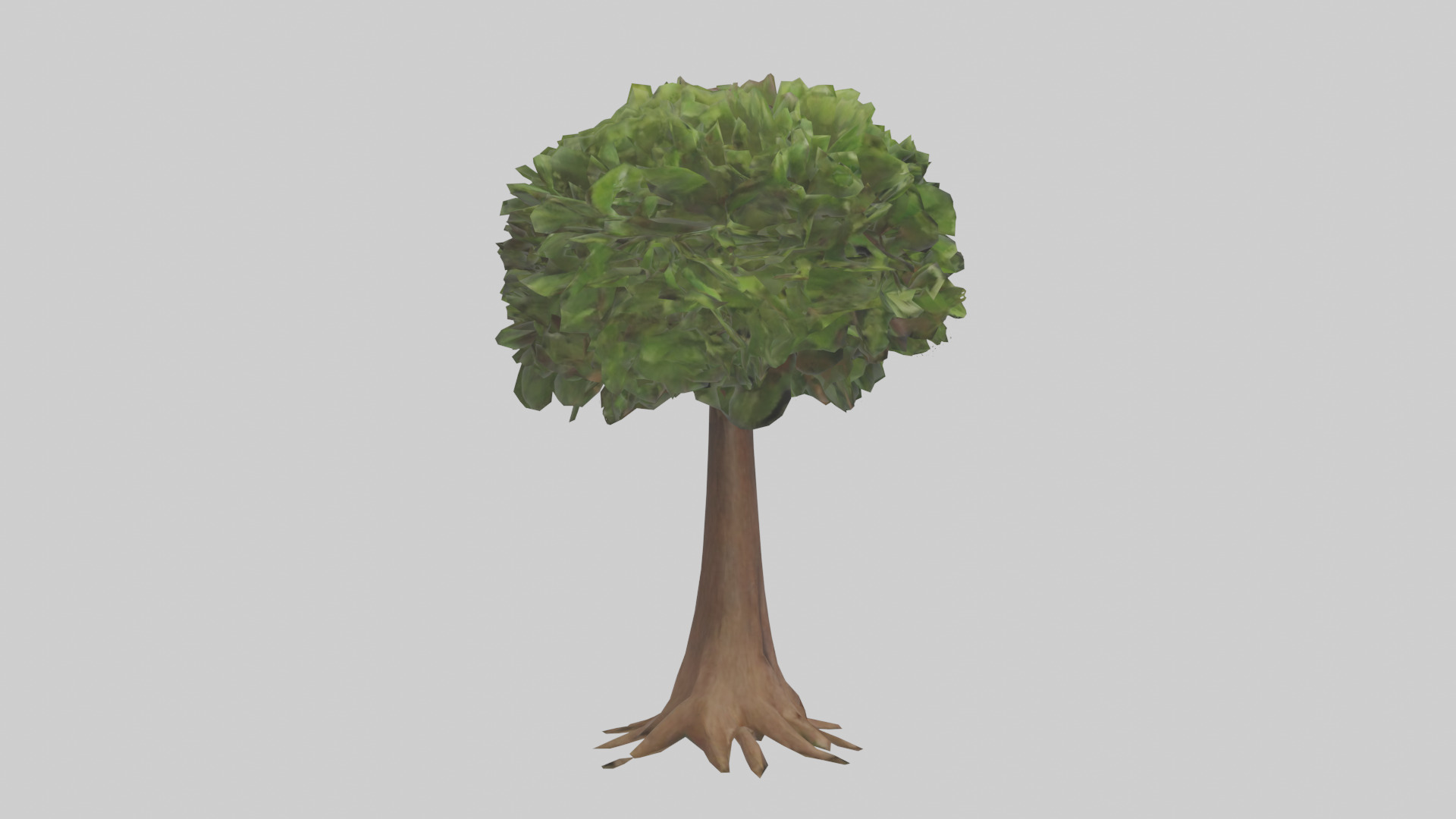 Hawaii Hala tree model Low-poly 3D model_13