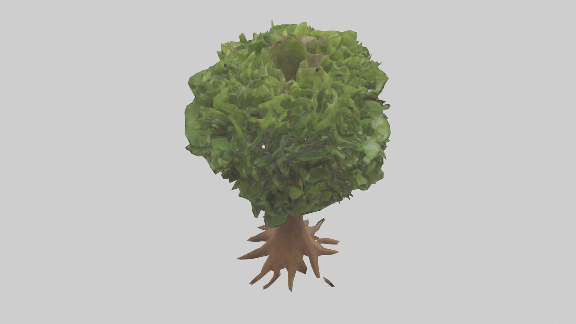 Hawaii Hala tree model Low-poly 3D model_15