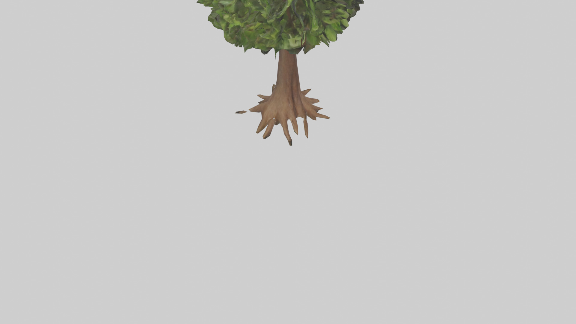Hawaii Hala tree model Low-poly 3D model_6