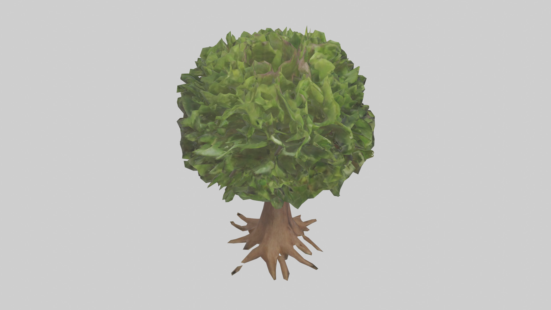 Hawaii Hala tree model Low-poly 3D model_18