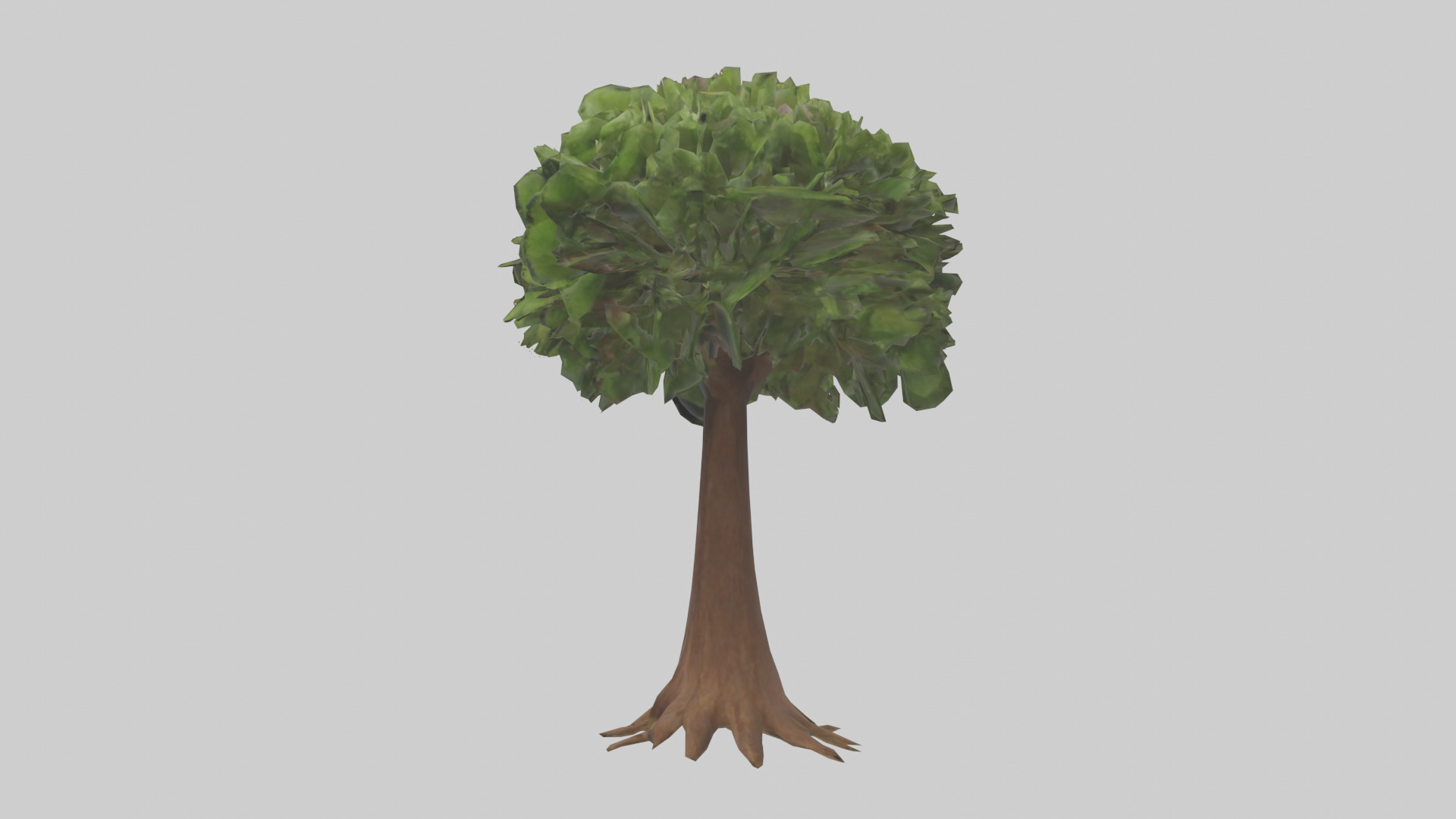 Hawaii Hala tree model Low-poly 3D model_12