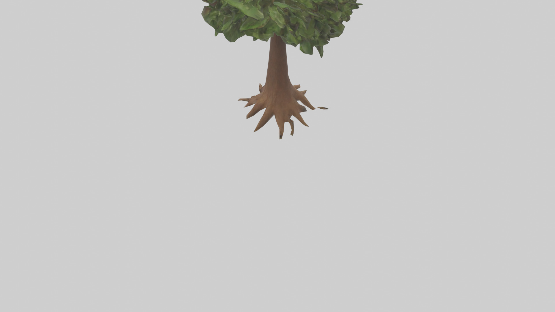 Hawaii Hala tree model Low-poly 3D model_3