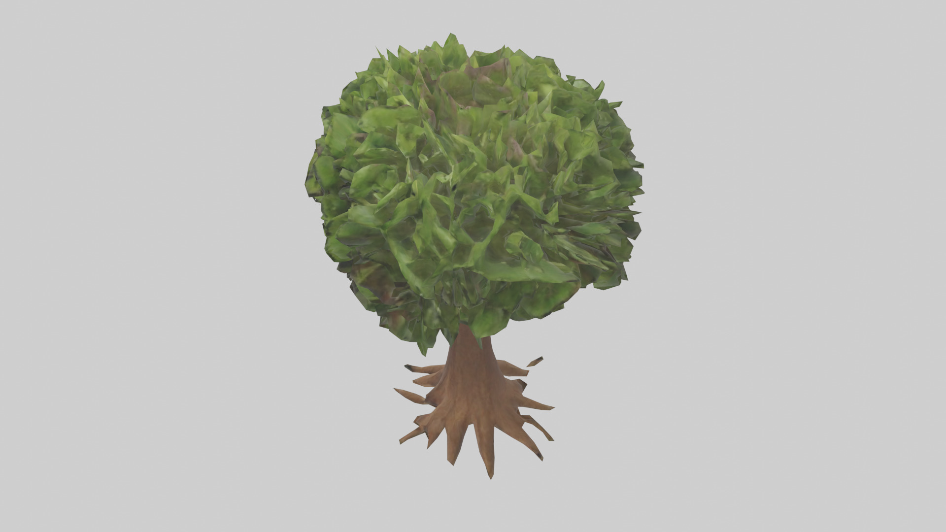 Hawaii Hala tree model Low-poly 3D model_17
