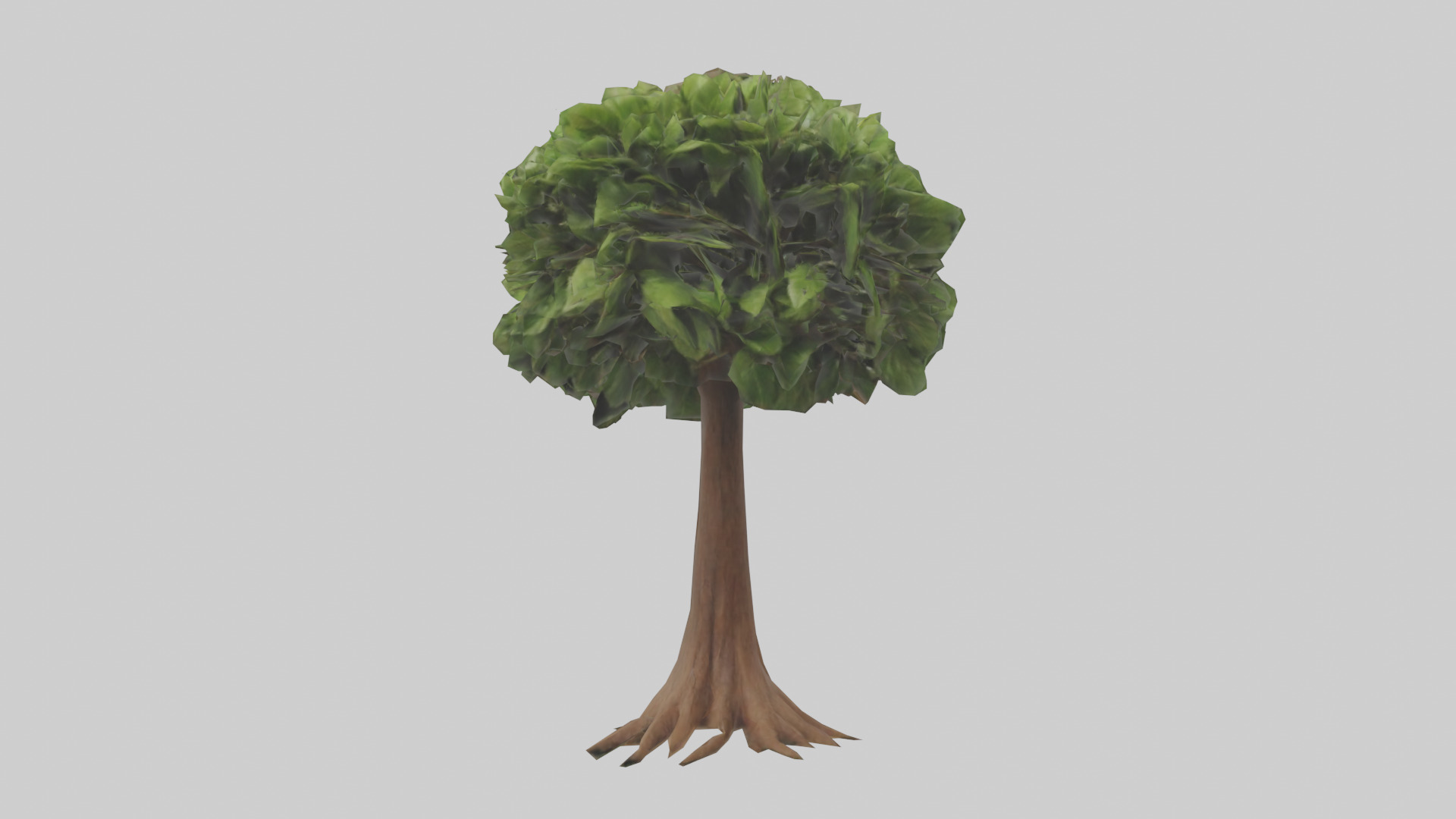 Hawaii Hala tree model Low-poly 3D model_9