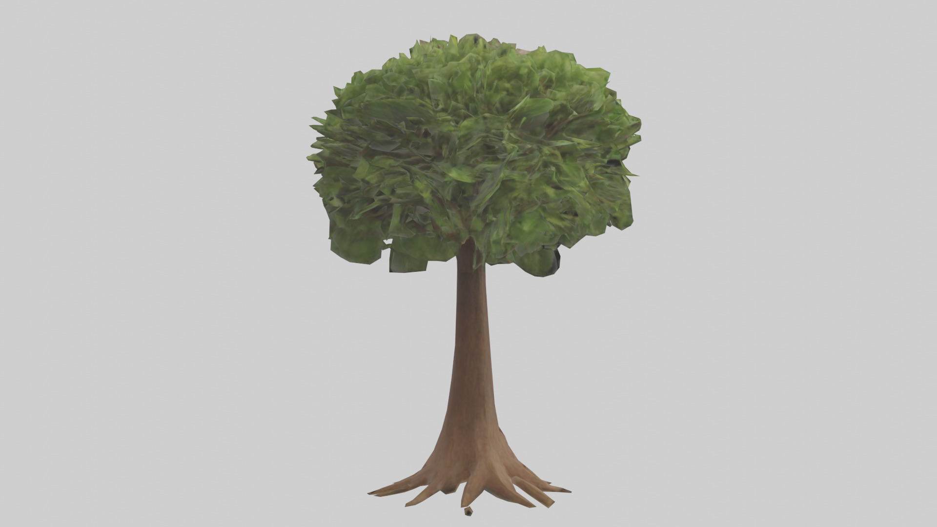Hawaii Hala tree model Low-poly 3D model_2