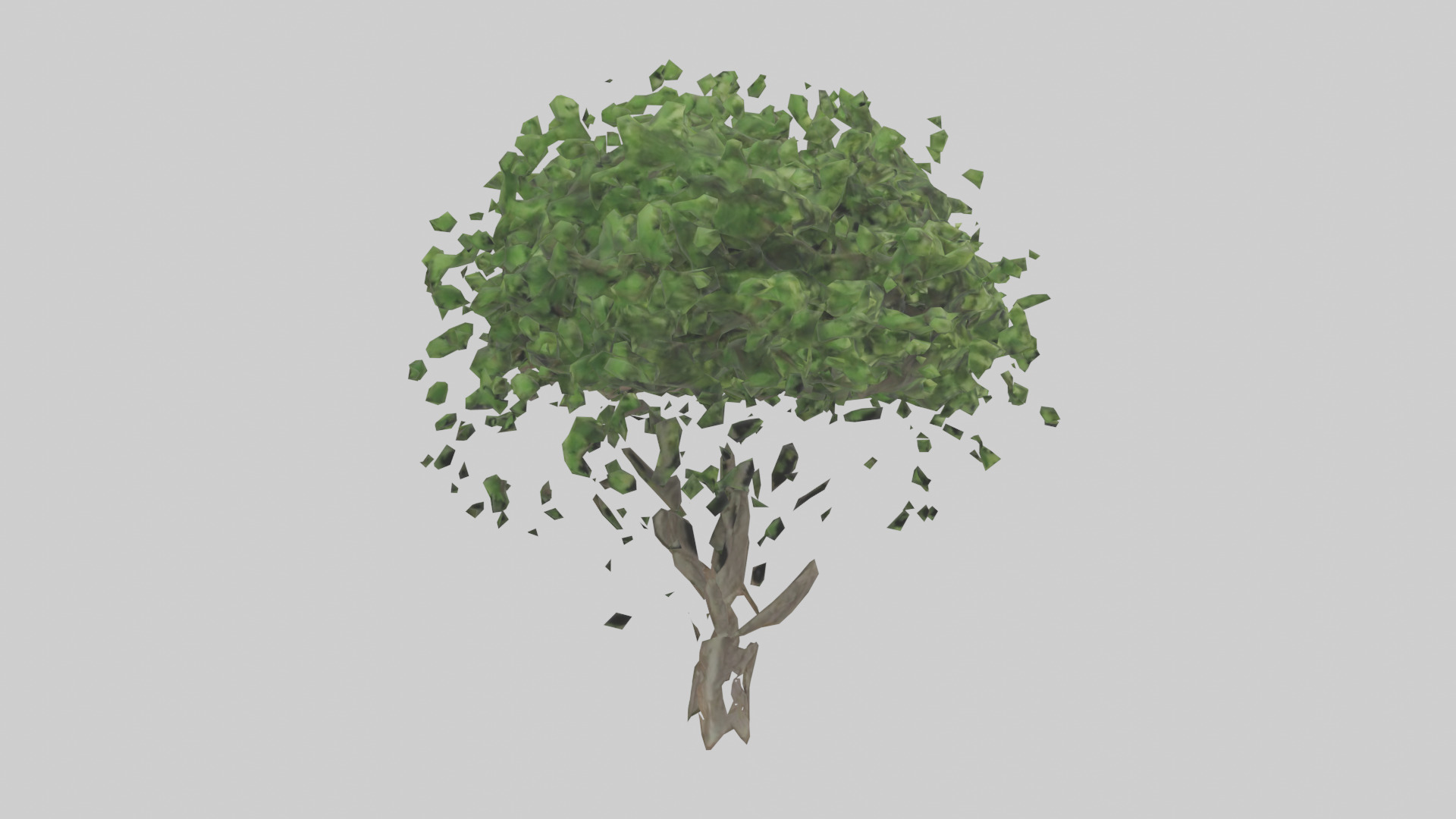 Hawthorn tree model Low-poly 3D model_11