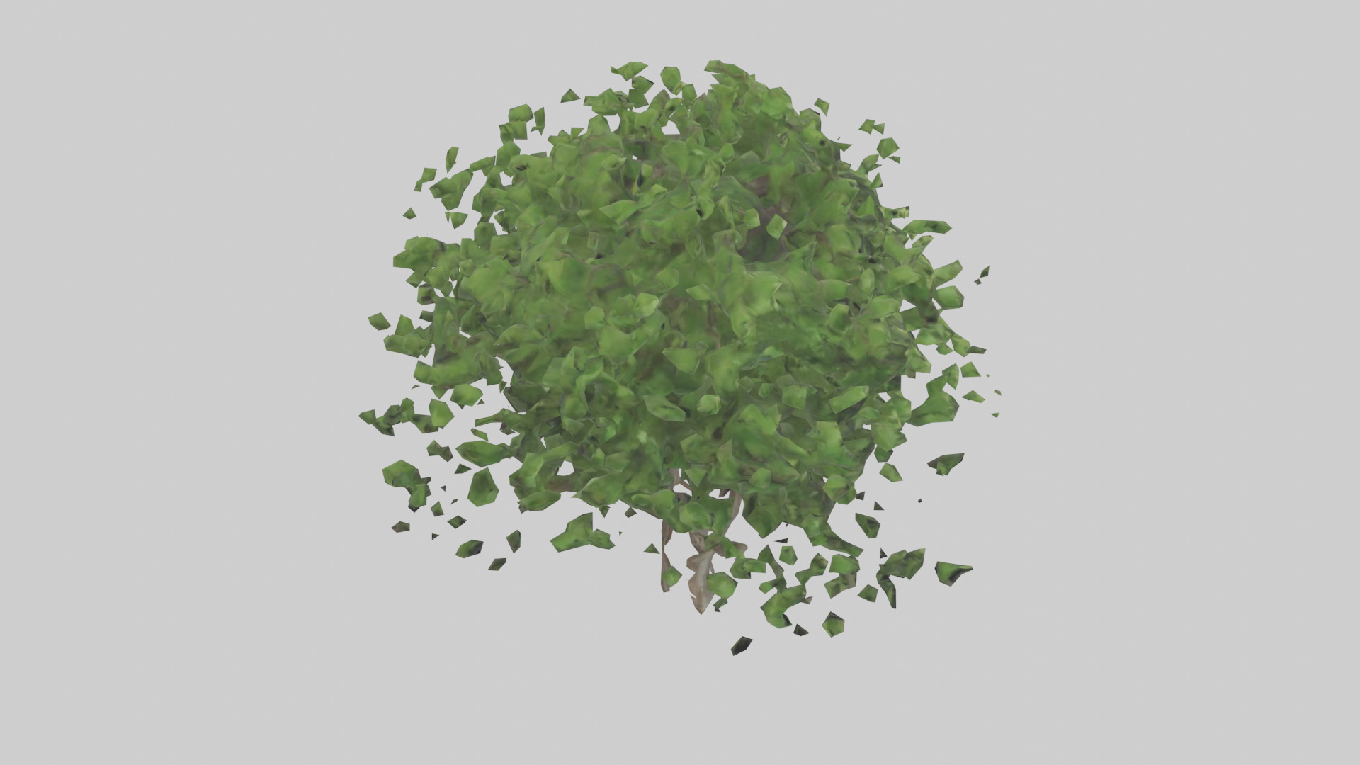 Hawthorn tree model Low-poly 3D model_18