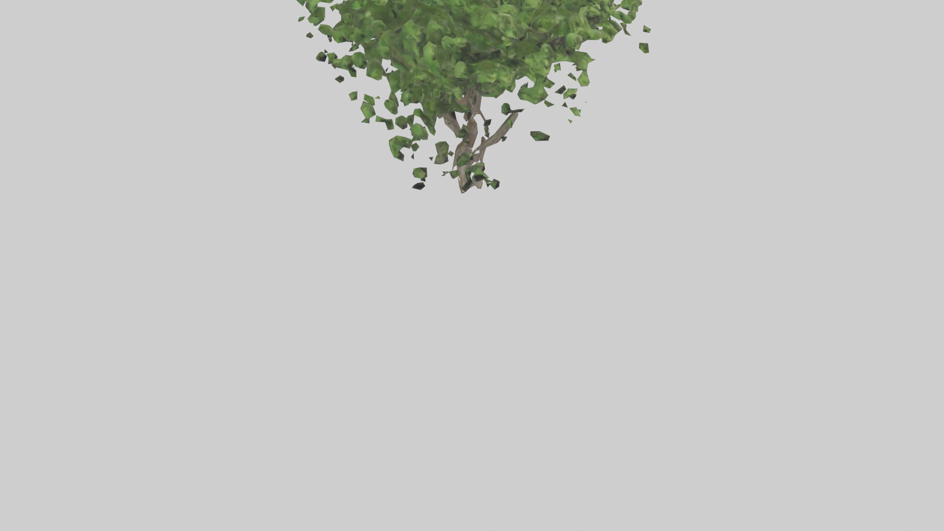 Hawthorn tree model Low-poly 3D model_6