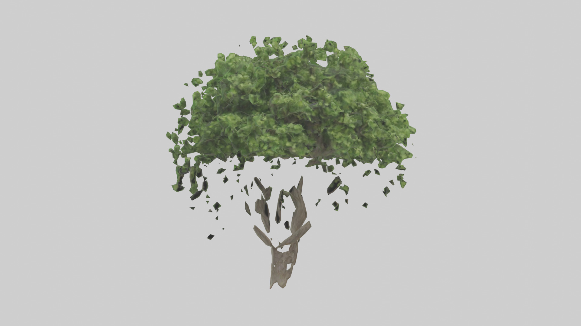 Hawthorn tree model Low-poly 3D model_9
