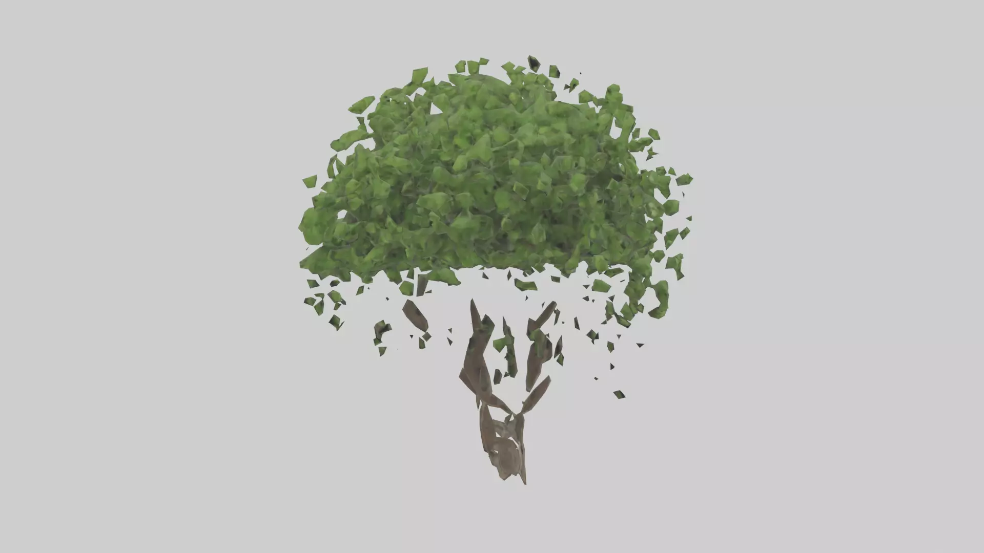 Hawthorn tree model Low-poly 3D model_0