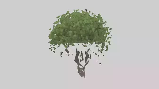 Hawthorn tree model