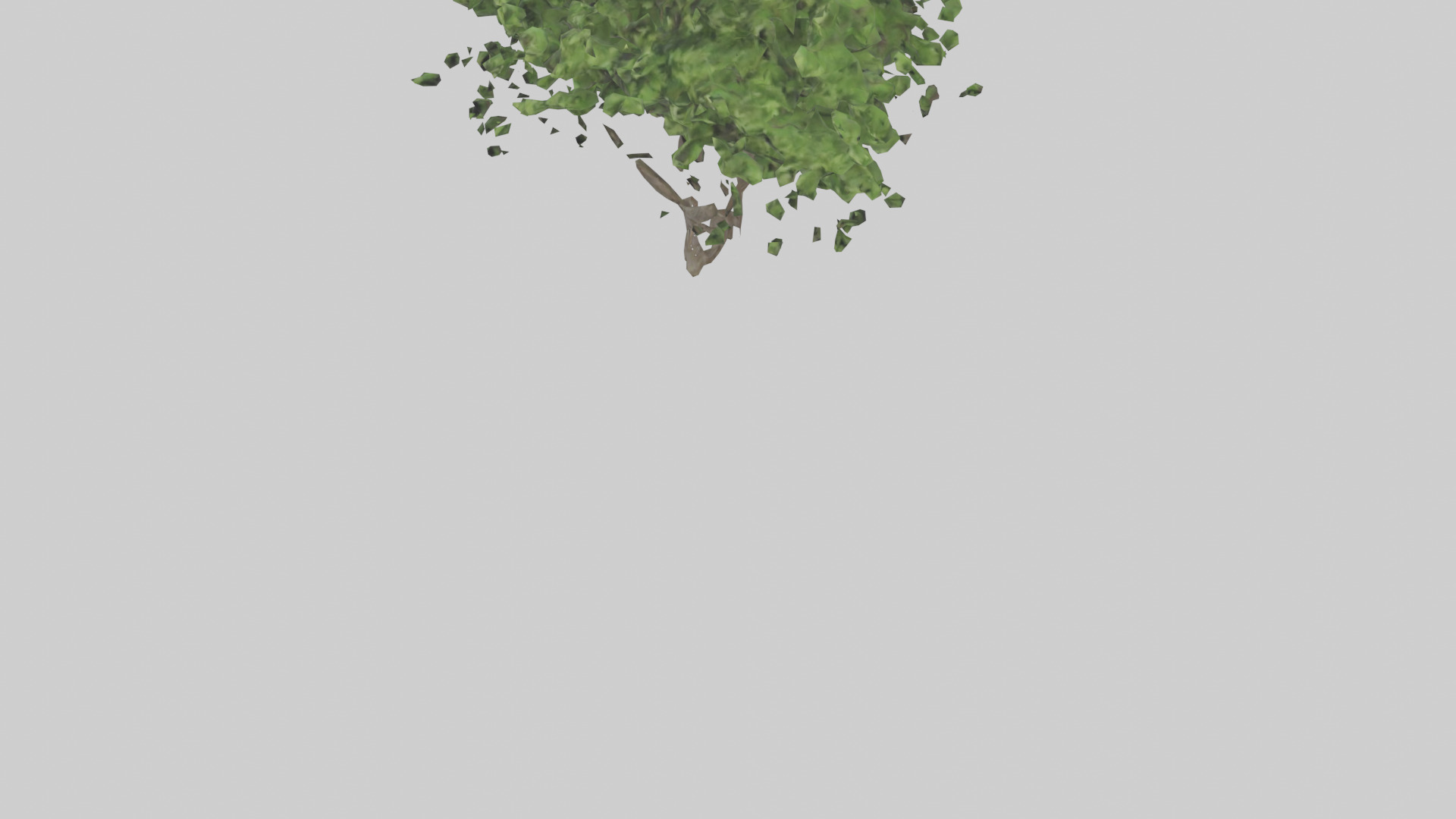 Hawthorn tree model Low-poly 3D model_5