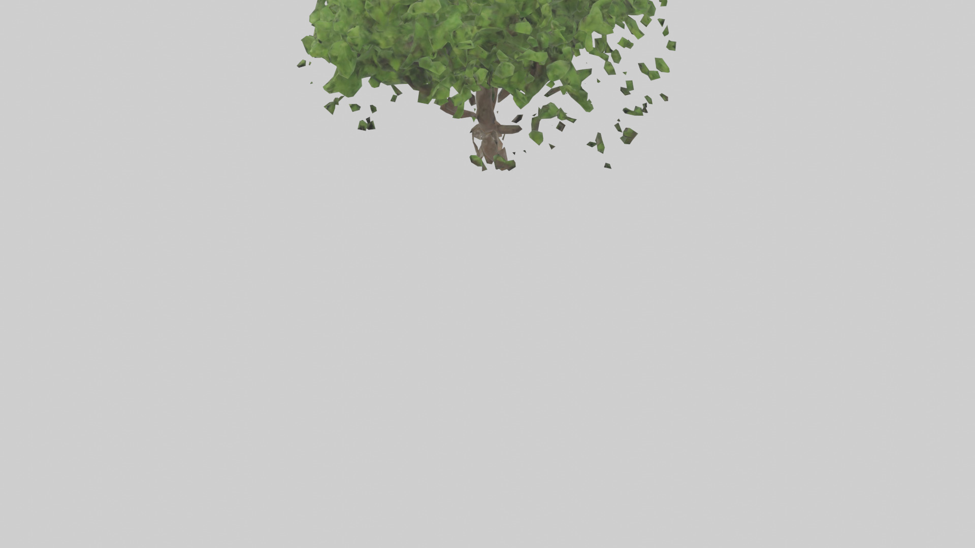 Hawthorn tree model Low-poly 3D model_3