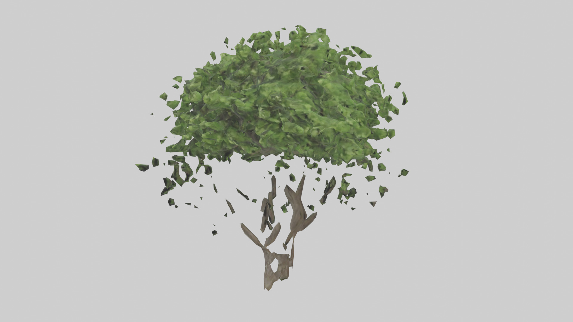 Hawthorn tree model Low-poly 3D model_8