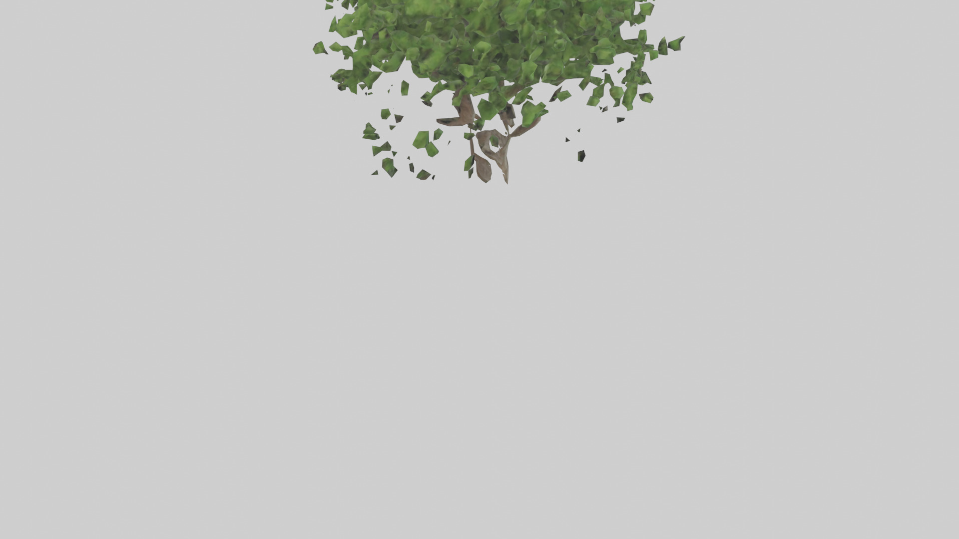 Hawthorn tree model Low-poly 3D model_4