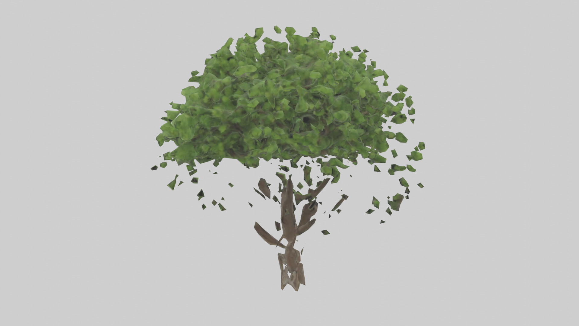 Hawthorn tree model Low-poly 3D model_1