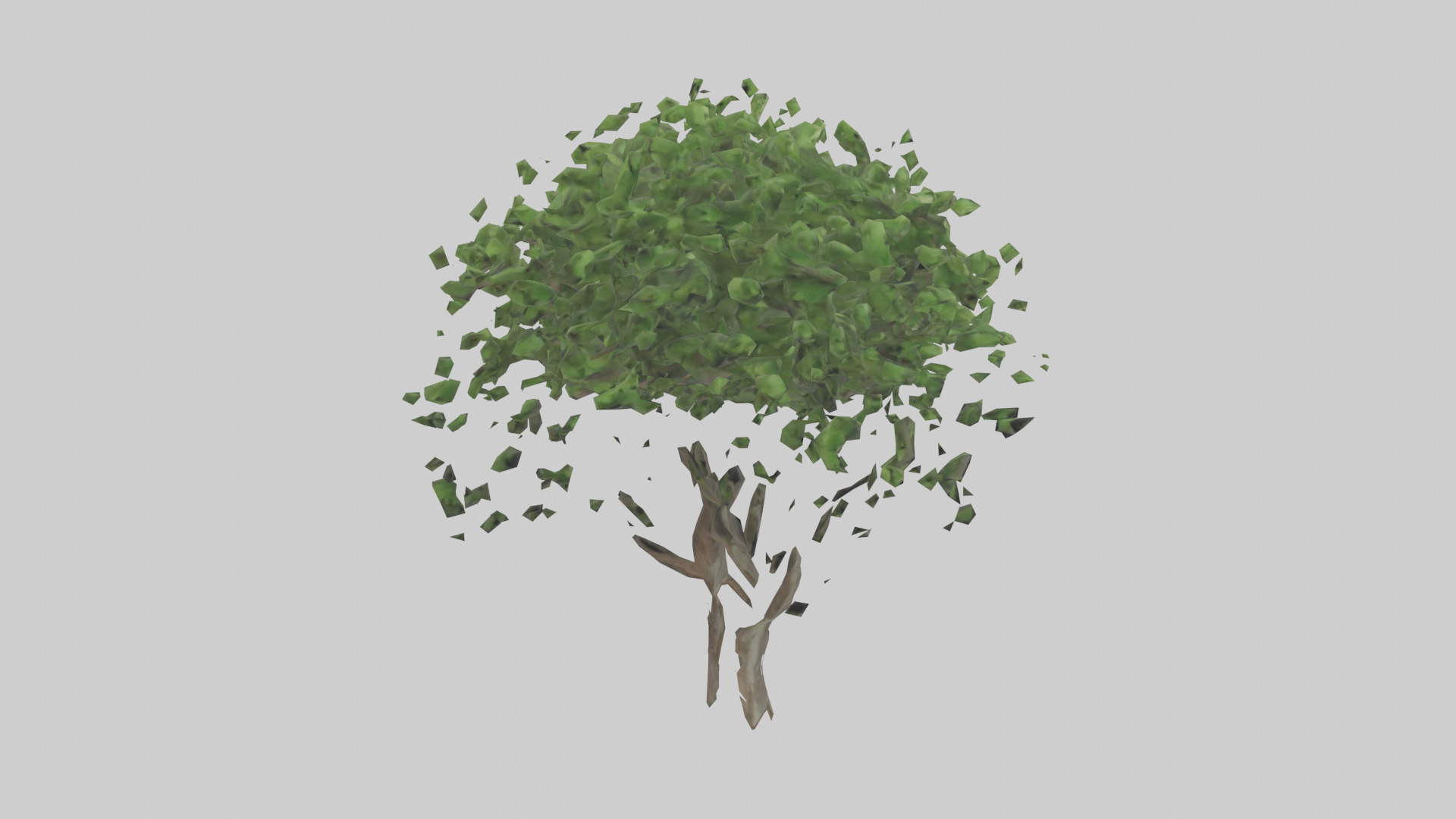 Hawthorn tree model Low-poly 3D model_13