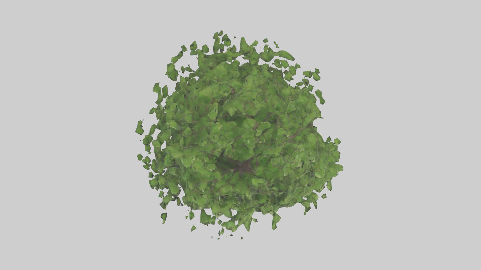 Hawthorn tree model Low-poly 3D model_14