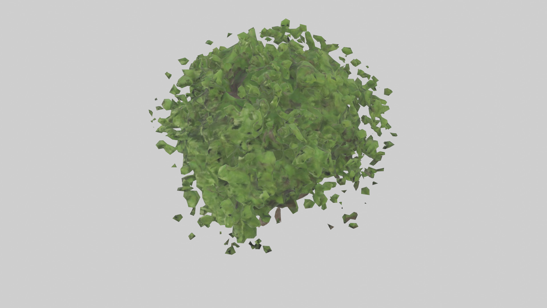Hawthorn tree model Low-poly 3D model_17