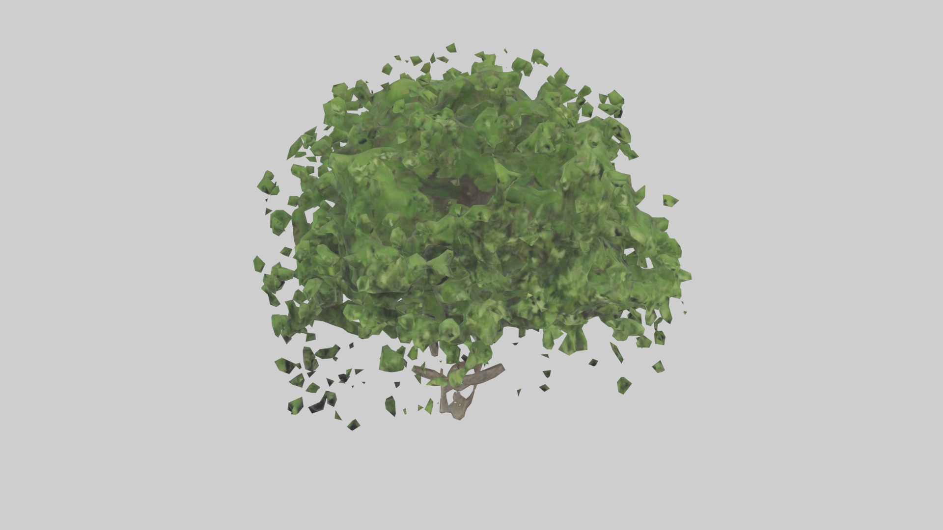 Hawthorn tree model Low-poly 3D model_16