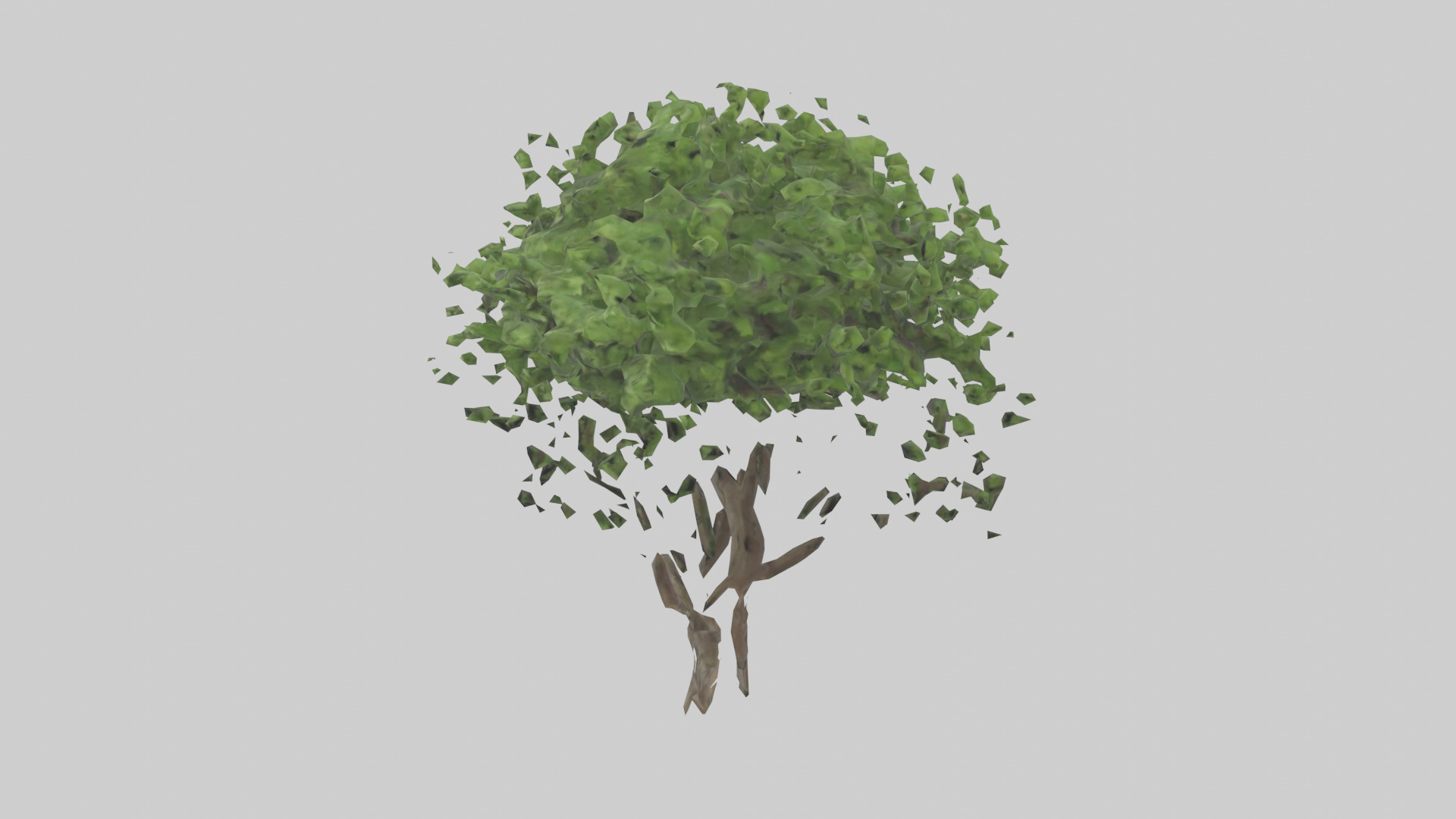 Hawthorn tree model Low-poly 3D model_12