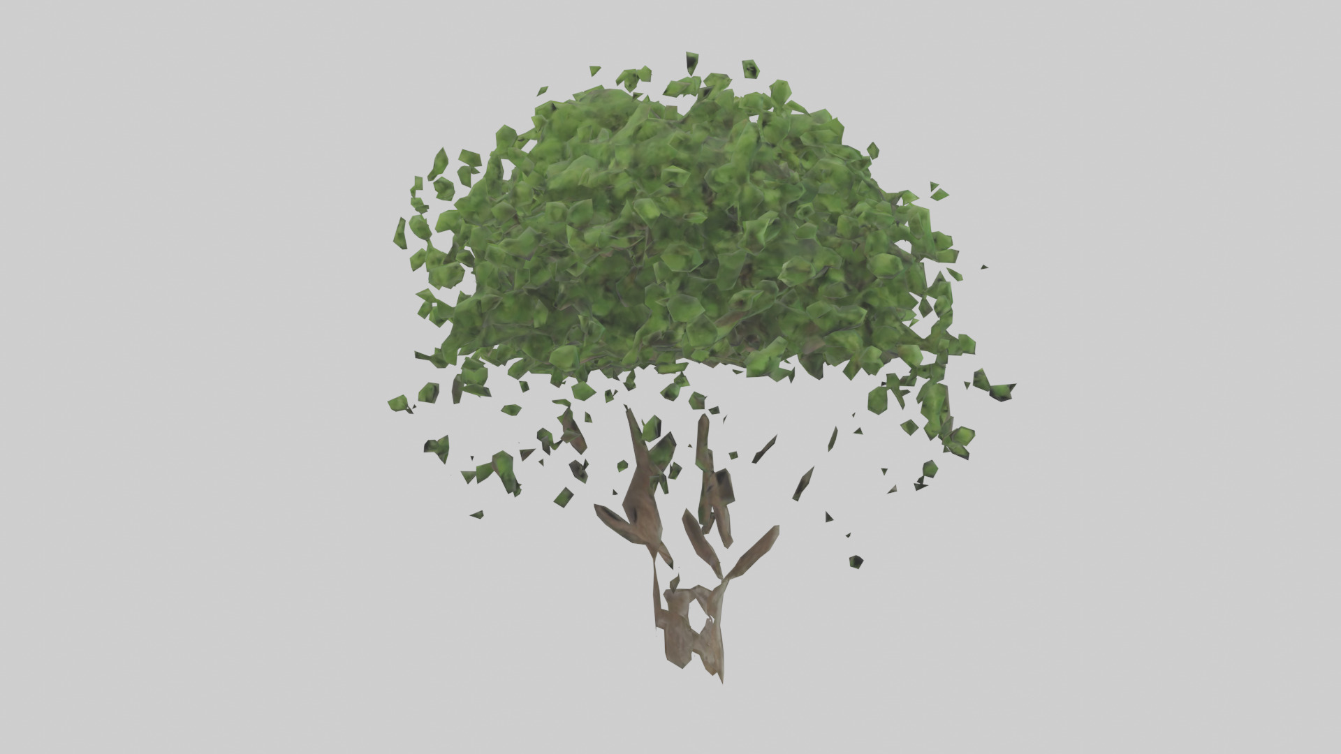 Hawthorn tree model Low-poly 3D model_2
