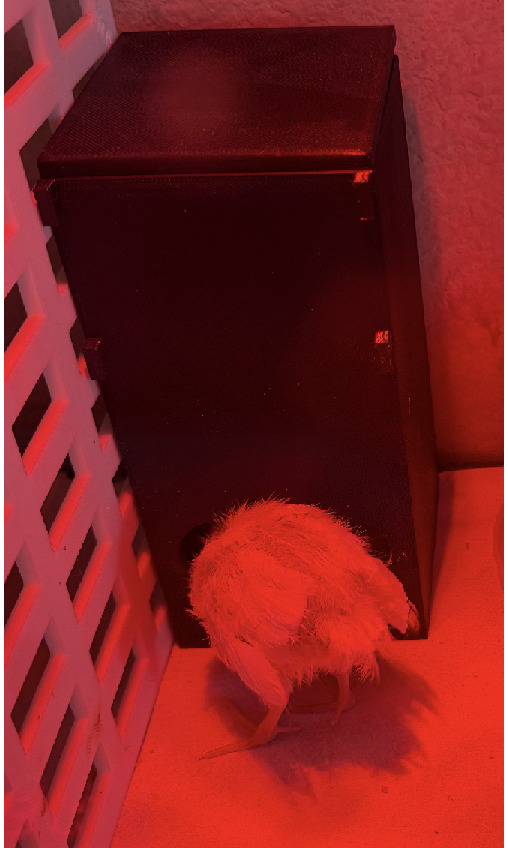 Ultra Low-Waste Quail Chick Feeder Free 3D print model_1