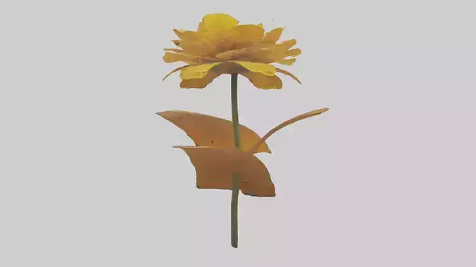 Heliopsis model