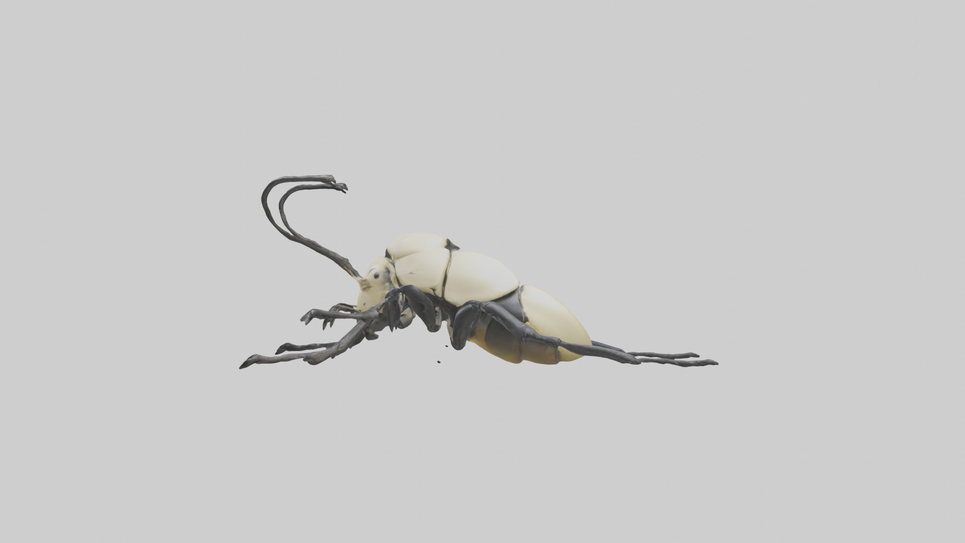 Hercules Beetle climbing tree model Low-poly 3D model_12