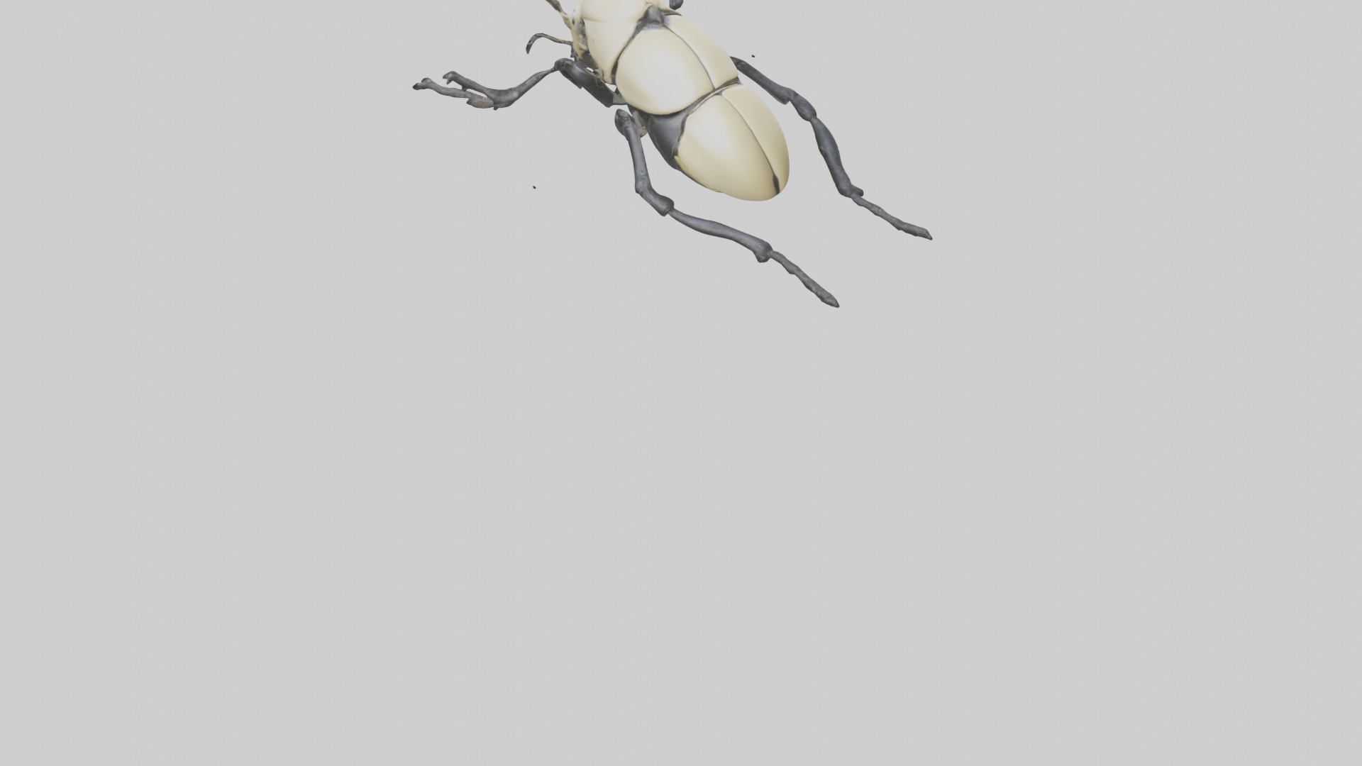 Hercules Beetle climbing tree model Low-poly 3D model_3